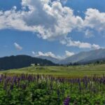 gulmarg