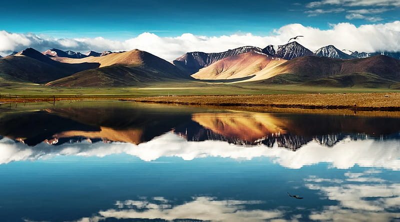 hd wallpaper mountain reflection ladakh birds beautiful clouds lake india mountains prairie reflection field himalayas