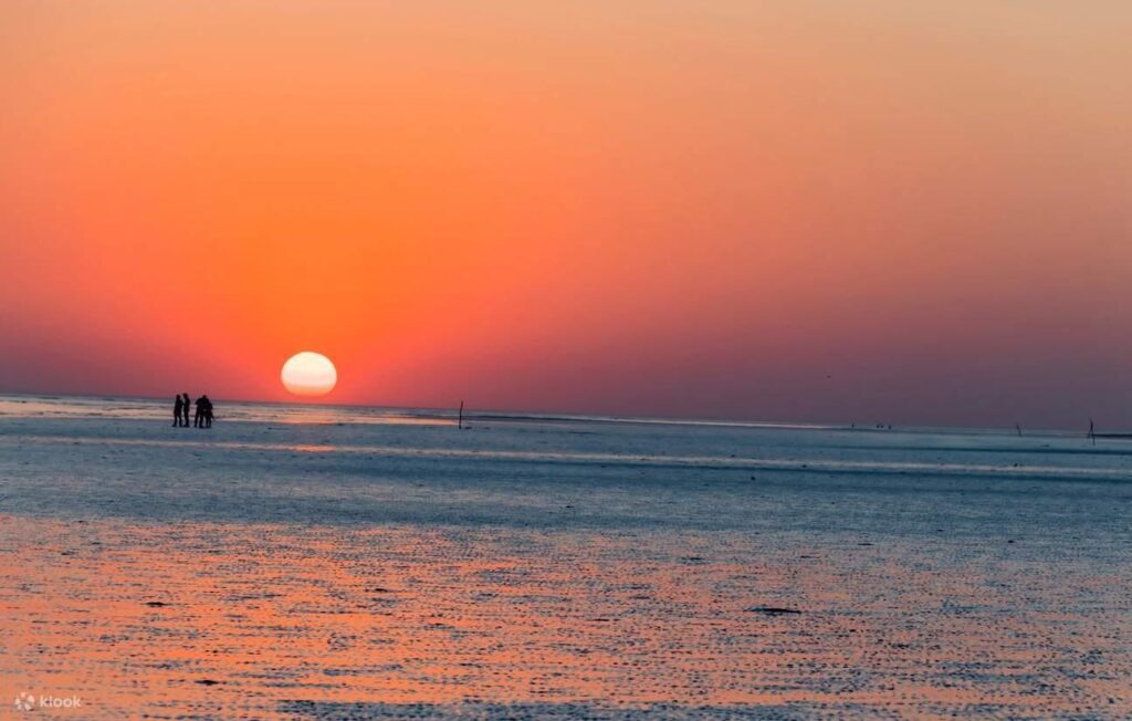white rann of kutch